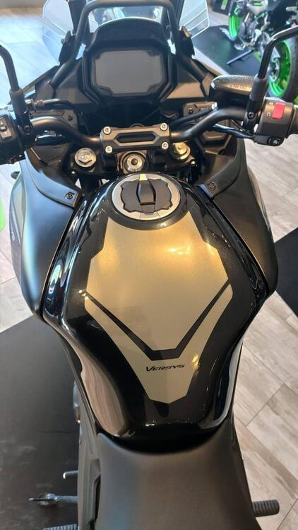 Kawasaki Versys 650 (2021 - 24) (5)