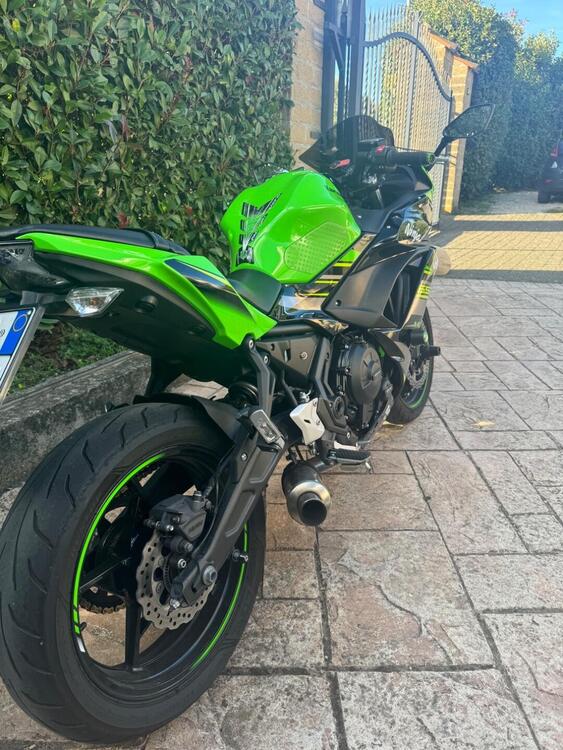 Kawasaki Ninja 650 KRT Edition (2017 - 19) (2)