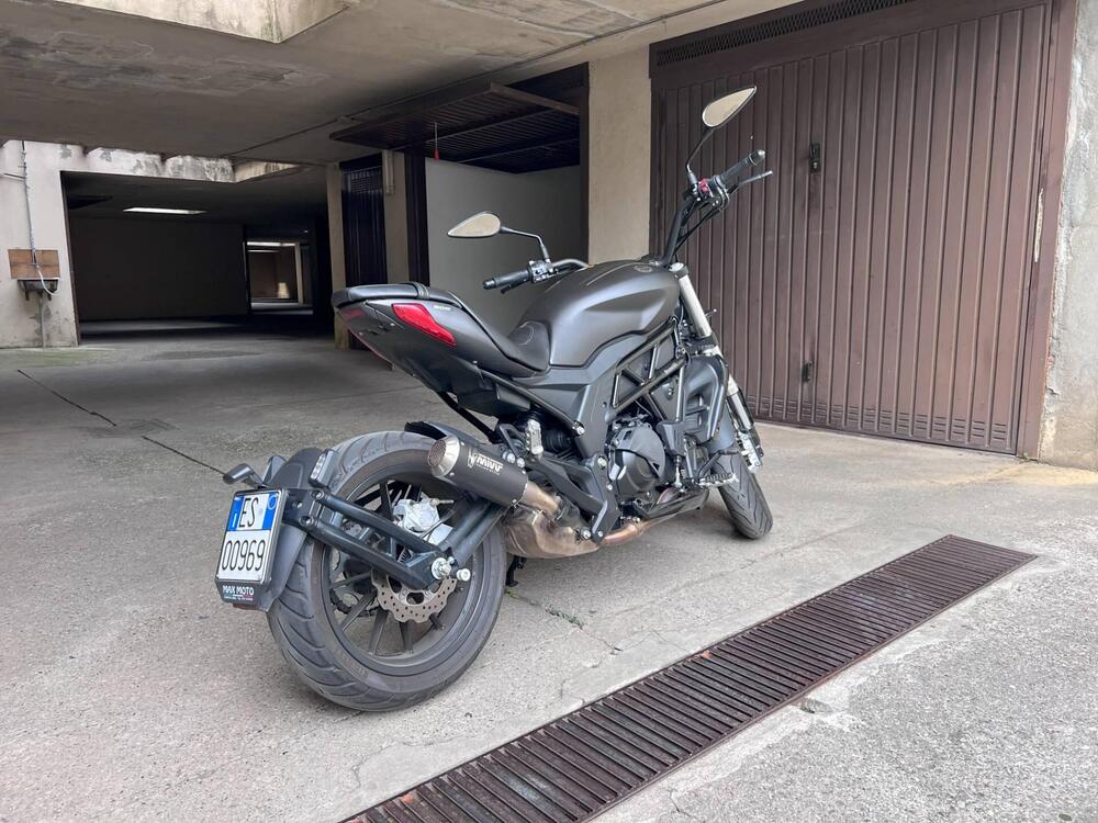 Benelli 502 C (2019 - 20) (4)