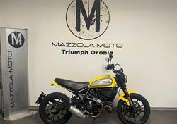 Ducati Scrambler 800 Icon (2021 - 22) usata