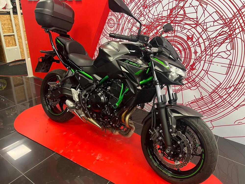 Kawasaki Z 650 (2021 - 25) (2)