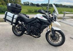 Triumph Tiger 800 ABS (2010 - 14) usata