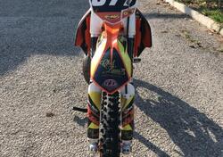 KTM SX 150 (2012) usata