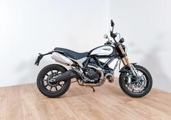 Ducati Scrambler 1100 (2018 - 20) usata