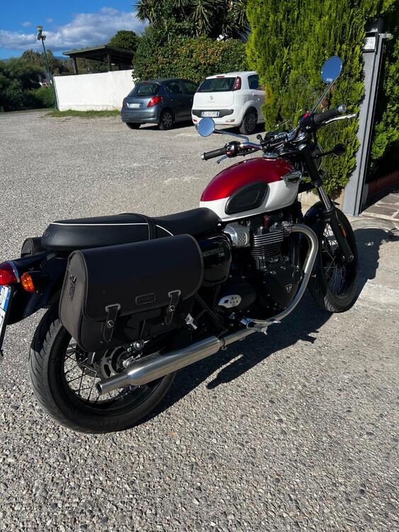 Triumph Bonneville T100 (2021 - 24) (3)