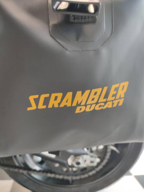 Ducati Scrambler 800 Icon (2017 - 20) (5)