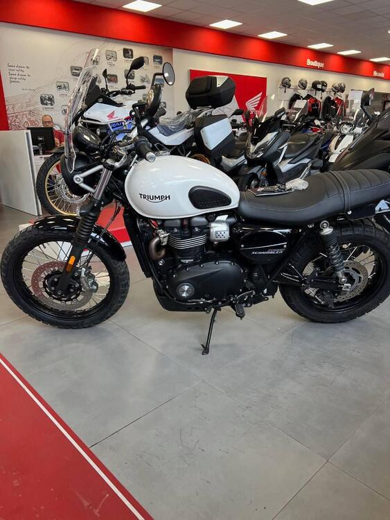 Triumph Street Scrambler 900 (2019 - 20) (2)