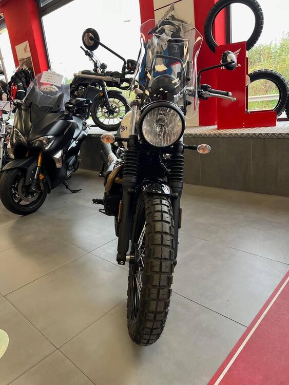 Triumph Street Scrambler 900 (2019 - 20) (3)