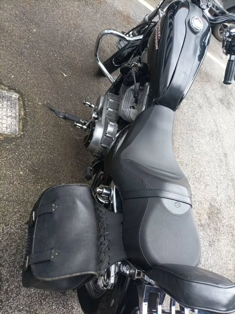 Harley-Davidson 883 (2008 - 09) - XL (2)