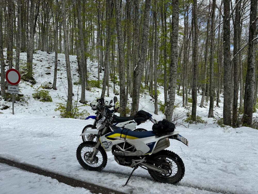 Husqvarna 701 Enduro (2017 - 19) (4)