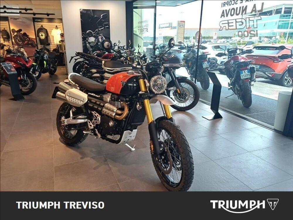 Triumph Scrambler 1200 XE (2024) (3)