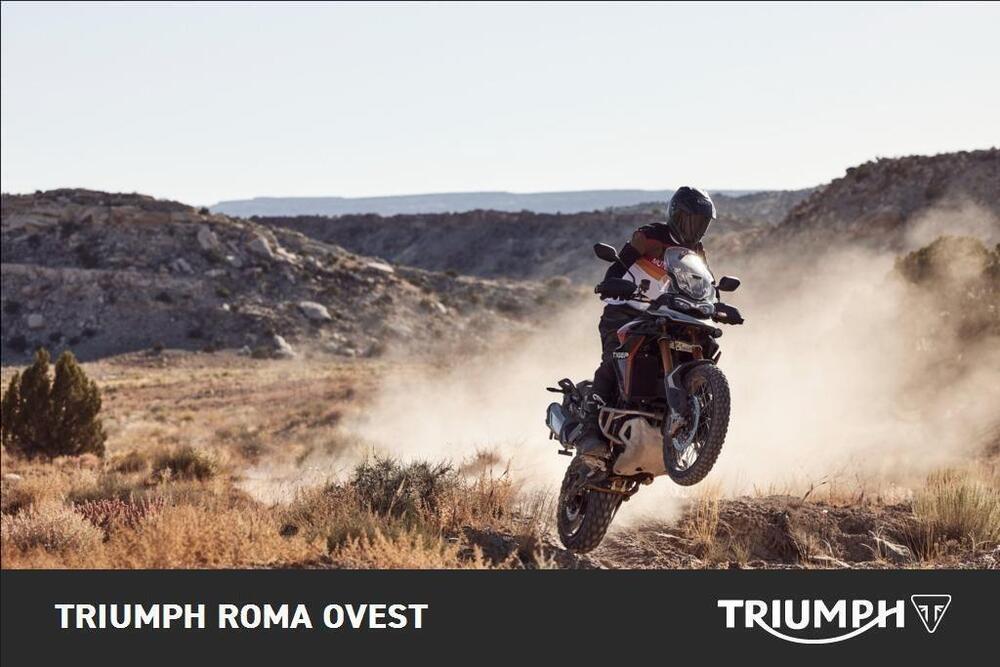 Triumph Tiger 900 Rally Pro (2024) (5)