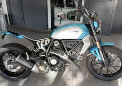 Ducati Scrambler 800 Icon (2023 - 24) usata