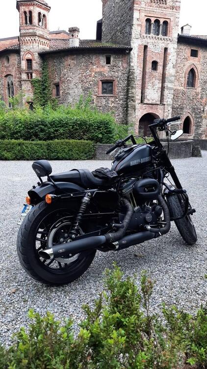 Harley-Davidson 1200 Roadster (2017 - 20) - XL 1200R (5)