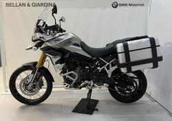 Triumph Tiger 900 Rally Pro (2020 - 23) usata