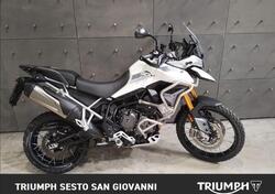 Triumph Tiger 900 Rally Pro (2020 - 23) usata