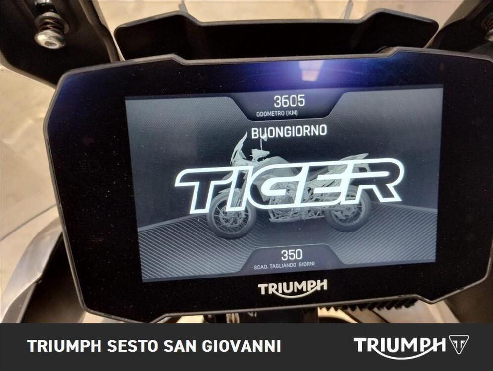 Triumph Tiger 900 Rally Pro (2020 - 23) (2)