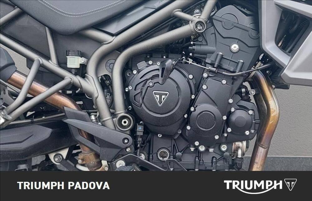 Triumph Tiger 800 XCx (2017 - 18) (3)