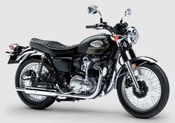 Kawasaki W 800 (2021 - 24) nuova