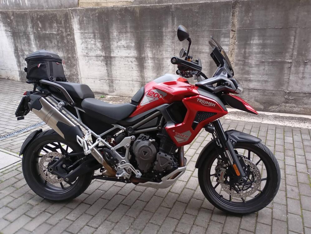 Triumph Tiger 1200 GT Pro (2024)