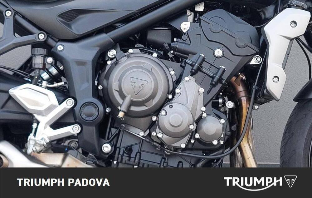 Triumph Trident 660 (2021 - 24) (3)