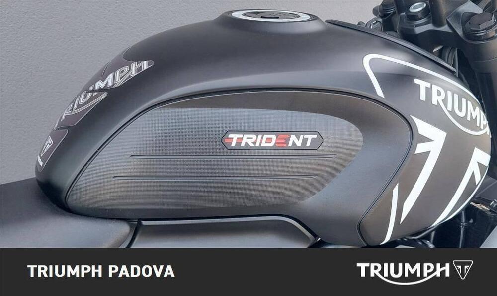 Triumph Trident 660 (2021 - 24) (4)