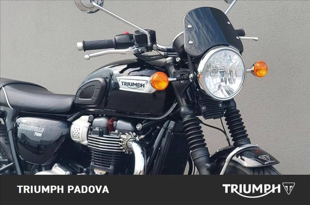 Triumph Bonneville T100 (2017 - 20) (5)