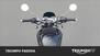 Triumph Bonneville T100 (2017 - 20) (11)