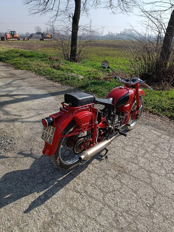 Moto Guzzi Astore 500 (3)