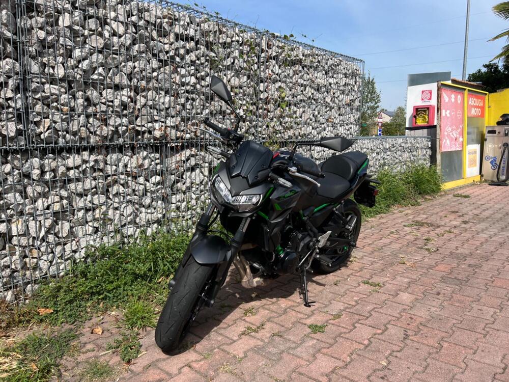 Kawasaki Z 650 Urban (2021 - 24)