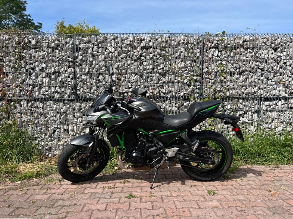 Kawasaki Z 650 Urban (2021 - 24) (2)