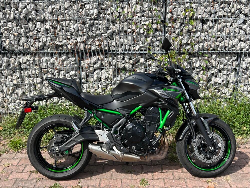 Kawasaki Z 650 Urban (2021 - 24) (3)