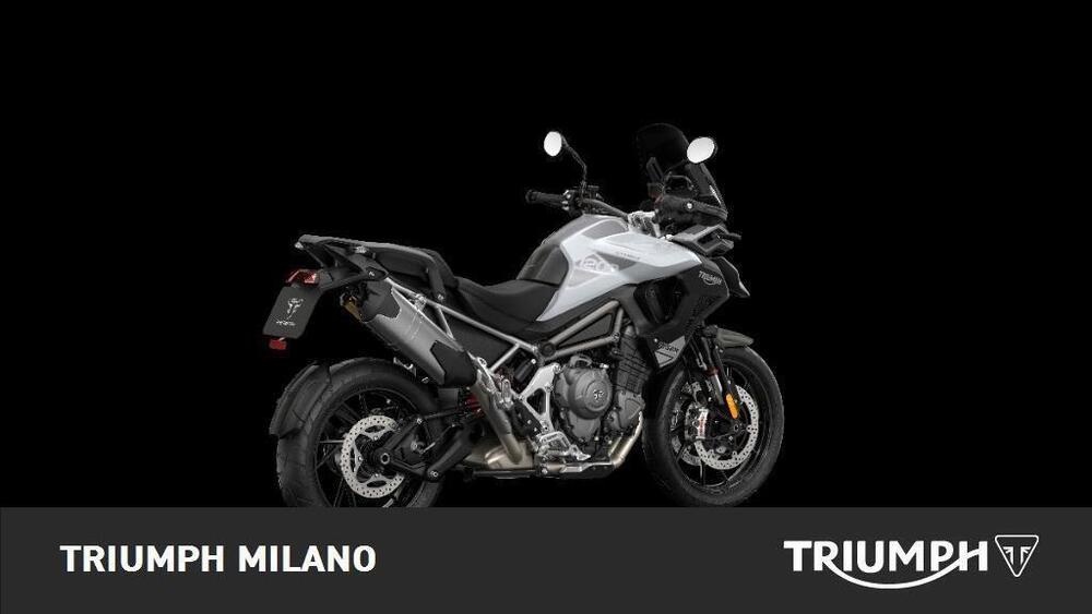 Triumph Tiger 1200 GT Pro (2024) (2)