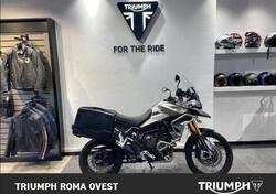 Triumph Tiger 900 Rally Pro (2020 - 23) usata