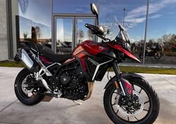 Triumph Tiger 900 GT Pro (2024) usata