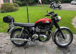 Triumph Bonneville T100 (2008 - 16) usata