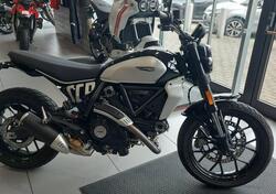 Ducati Scrambler 800 Icon (2023 - 24) usata