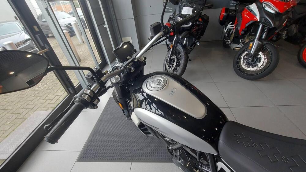 Ducati Scrambler 800 Icon (2023 - 24) (5)