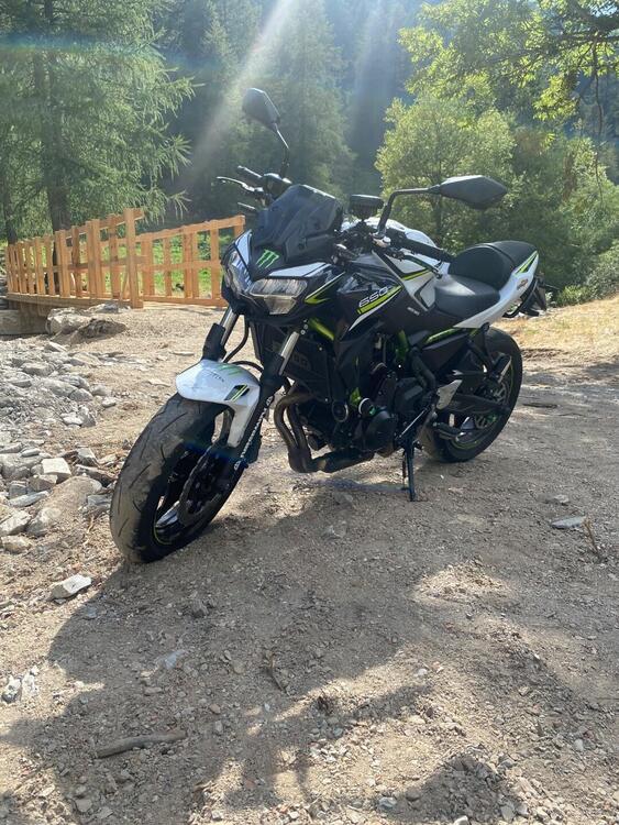 Kawasaki Z 650 (2020) (2)