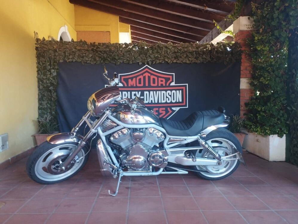 Harley-Davidson 1130 V-Rod (2002 - 05) - VRSCA