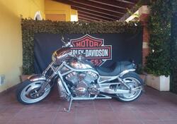 Harley-Davidson 1130 V-Rod (2002 - 05) - VRSCA usata