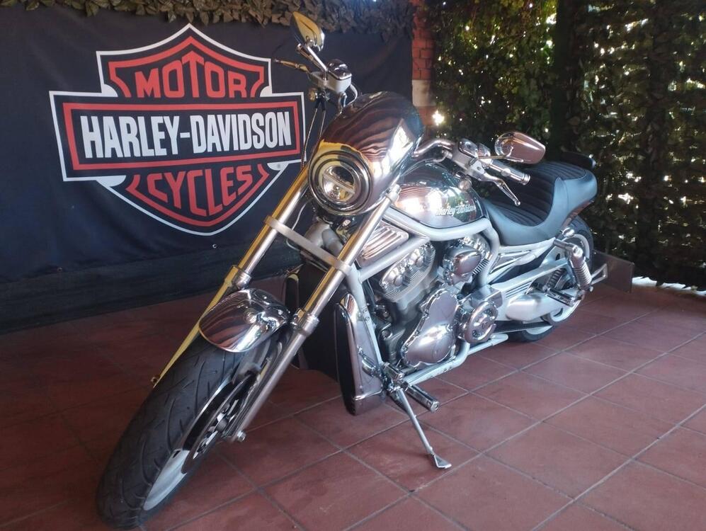 Harley-Davidson 1130 V-Rod (2002 - 05) - VRSCA (4)