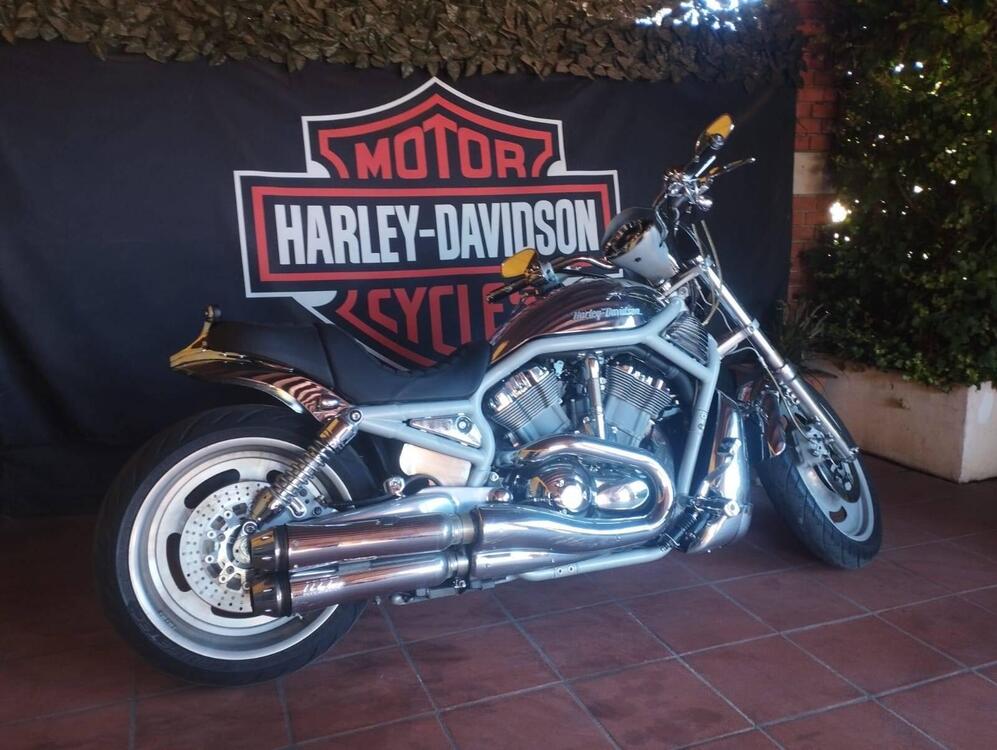 Harley-Davidson 1130 V-Rod (2002 - 05) - VRSCA (5)