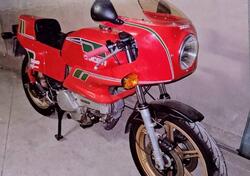 Ducati Ducati 500 Pantah - 1980 d'epoca