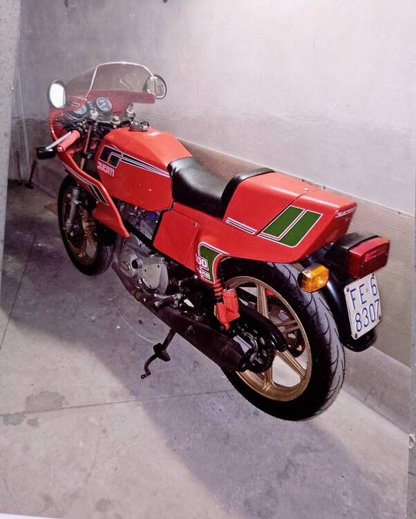 Ducati Ducati 500 Pantah - 1980 (2)