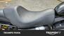 Harley-Davidson 883 Iron (2012 - 14) - XL 883N (7)