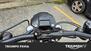 Harley-Davidson 883 Iron (2012 - 14) - XL 883N (20)