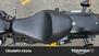 Harley-Davidson 883 Iron (2012 - 14) - XL 883N (22)