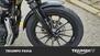 Harley-Davidson 883 Iron (2012 - 14) - XL 883N (11)