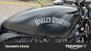 Harley-Davidson 883 Iron (2012 - 14) - XL 883N (6)